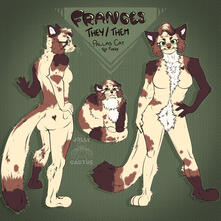 Reference Sheet